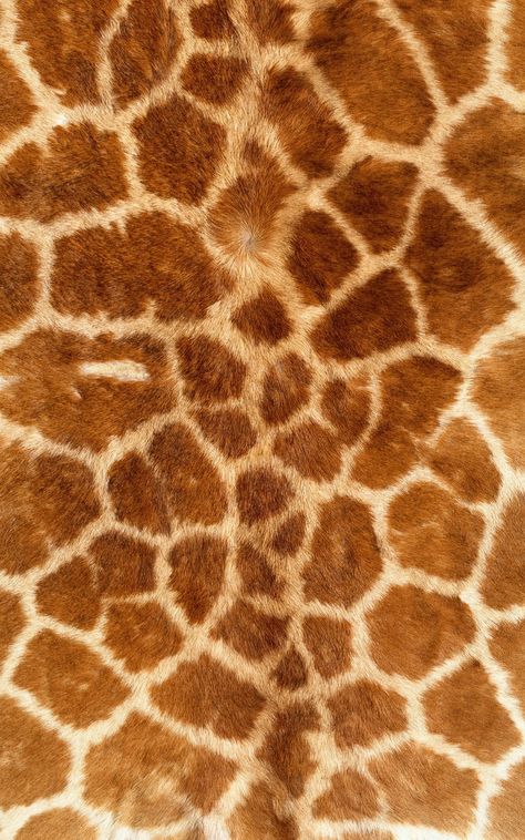 Fur Aesthetic, Animal Print Background, Tiger Skin, Fur Texture, Giraffe Pattern, Texture Inspiration, Texture Photography, Giraffe Print, African Animals