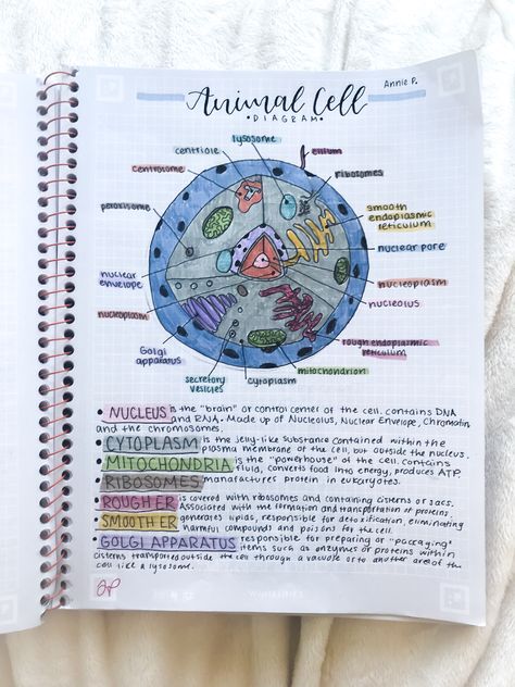 Credit to @anniestudiesss on instagram Cell Notes Biology Class 9 Aesthetic, Science Notes Cells, Fundamental Unit Of Life Notes Class 9, Animal Cell Notes, Bio Notes Aesthetic, Zoology Aesthetic Notes, Life Science Notes, Aesthetic Biology Notes, Biology Notes Aesthetic