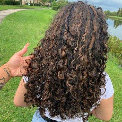 TAMPA CURLY HAIR SPECIALIST on Instagram: "Warm caramel macchiato! ☕️ 🔆🔆To book your free consultation or to schedule an appointment, slide in my DM’s!!! You’re always welcome to vibe with me!🔆🔆 : : : : : : #girlswithcurls #naturalhair #longcurlyhair #curly #curlygirls #curlyhair #curlyhairstylist #curlylayers #btcolaplex #texturelove #tampacurlspecialist #tampacurls #curlyhairspecialist #curlspecialist #curlycut #curlyhairgoals #btcfirstfeature #curlyhairgoals #curlyhaircolor #curl #curly # Caramel Highlights On Brown Hair Curly Hair, Curl Hair With Highlights, Curly Hair Carmel Lights, Caramel Brown Highlights On Black Hair Curly, Curly Hair With Light Highlights, Curly Hairstyles Balayage, Babylights For Brunettes, Brown With Caramel Highlights Curly Hair, Caramel Highlights On Curly Hair Natural Curls