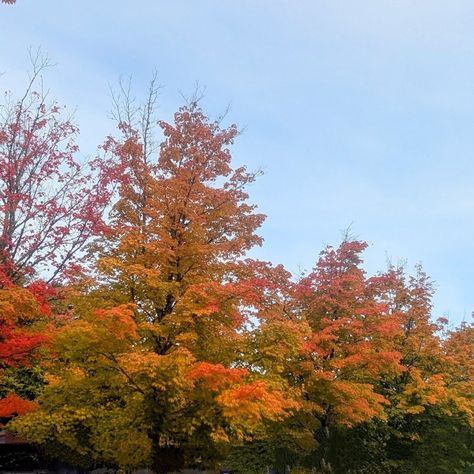 Looking for some fall foliage fun? I spent the last week exploring the best spots New England has to offer, and there is no better time than fall to experience this beautiful region. Some of my favorites were The Cliff Walk and The Breakers in Newport, RI, the seaport in Mystic, CT, the quaint town of Woodstock, VT and Bar Harbor, Maine. This is leaf peeping and sightseeing at its absolute finest. Ask me about planning your visit, (either custom or guided) for fall 2025! #BeyondVacations Woodstock Vt, Mystic Ct, Bar Harbor Maine, Leaf Peeping, The Breakers, The Cliff, Newport Ri, Fall Foliage, Woodstock