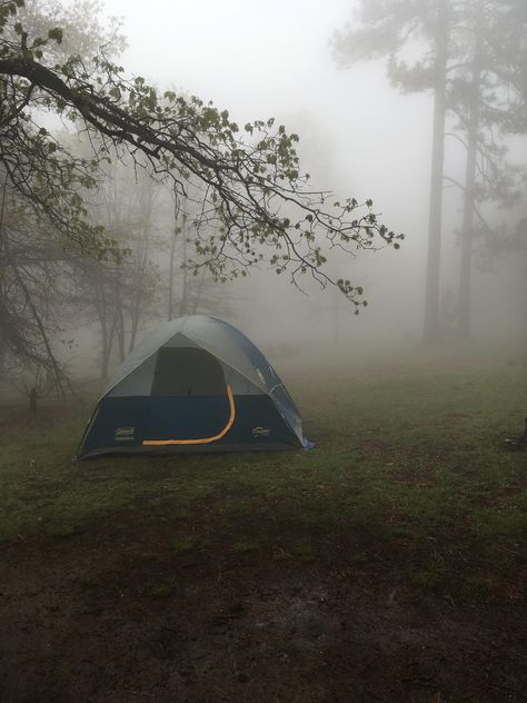 A foggy rainy but beautiful night camping on Mount Laguna. Camping Astethic, Rainy Camping, Rain Camping, Night Camping, Forest Camping, Camping In The Rain, Forest Camp, Camping Must Haves, Camping Vibes