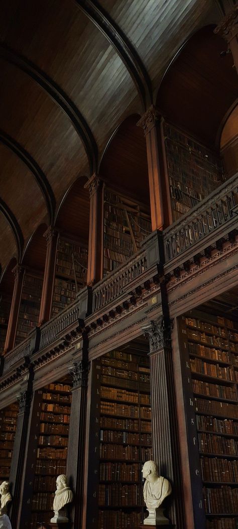 Old Huge Library Aesthetic, Dimly Lit Library, The Long Room Trinity College, Big Old Library, Library Old Aesthetic, Old Abandoned Library, Massive Library Aesthetic, Aesthetic Old Library, Old Libraries Aesthetic