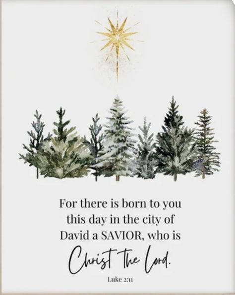 Merry Christmas With Bible Verse, Christmas Tree Bible Verse, December Bible Quotes, Merry Christmas Bible Quotes, Merry Christmas Bible Verse, Merry Christmas Blessings Quotes, Christmas Blessings Quotes Sayings, Christian Christmas Messages, Christmas Verses For Cards