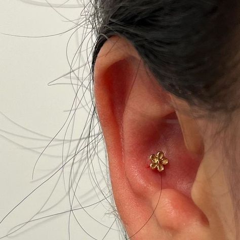 Cute Conch Piercing Studs, Conch Piercing Both Ears, Small Conch Piercing, Conch Piercings Ear, Pretty Conch Piercing, Daith Stud Piercing, Ear Conch Piercings, Dainty Conch Piercing, Conch Stud Jewelry