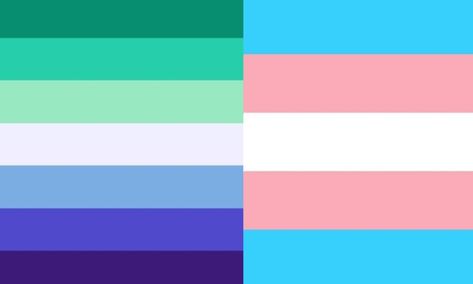 Gender Fluid Wallpaper, Lgbt Flag Colors, Trans Pride Flag, Bee Free, Trans Flag, Gender Flags, Gay Flag, Gay Pride Flag, My Personality