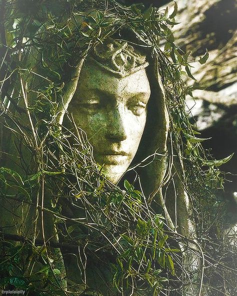 Statue of a face covered with vines John Howe, Thranduil, Neil Gaiman, Drawing Set, Dragon Age, Middle Earth, The Elf, Green Aesthetic, Lord Of The Rings