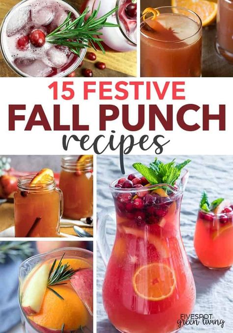 fall punch recipes Fall Juices, Fall Party Drinks, Fall Punch Recipes, Healthy Drink Recipes, Fall Punch, Nonalcoholic Drink, Autumn Drinks, Thanksgiving Punch, Fall Drink Recipes