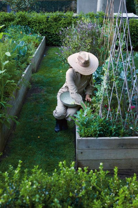 City Backyard Garden, Watering The Garden, Reading Garden, Dead Leaves, Vegetable Garden Raised Beds, Starting A Garden, Gardening Apron, Home Vegetable Garden, Public Garden