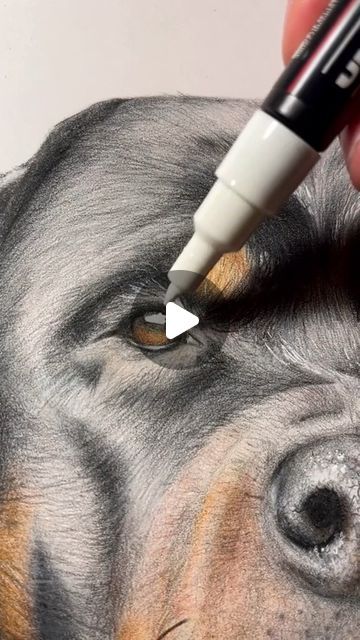 288 likes, 7 comments - biko.artz op June 21, 2024: "I drew a hyper realistic Rottweiler #hyperrealistic #art #rottweiler #drawing #doglovers #foryou #animalartwork #realisticpencilart #cute cr -  samblack_art . . . . . . . . . . . . . hyper-realistic art, how to draw hyper realistic art, how to do hyper realistic art, how to make hyper realistic art, ballpoint pen hyper realistic art, hyper realistic artists, hyper realistic artwork, hyper realistic artist instagram, hyper realistic art pencil, Hyper Realistic Anime, Realistic Drawings Colored Pencils, Rottweiler Drawing, Hyper Realistic Art, Hyper Realistic Drawings, Realistic Art Style, Realism Pencil, Among Us Art, Hyperrealistic Drawing