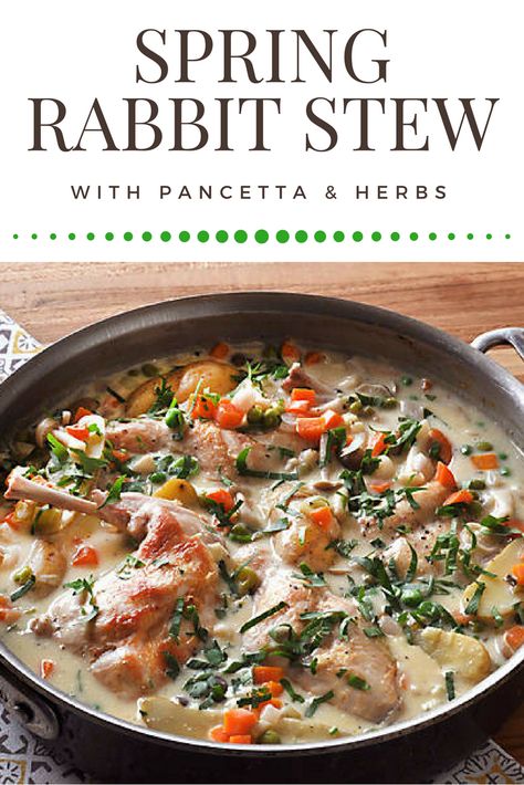 Rabbit Dinner Recipes, Cooking Rabbit Recipes, Rabbit Stew Crockpot, Whole Rabbit Recipes, Rabbit Recipes For Dinner, Rabbit Recipes Easy, Crockpot Rabbit Recipe, Rabbit Soup, Braised Rabbit Recipe