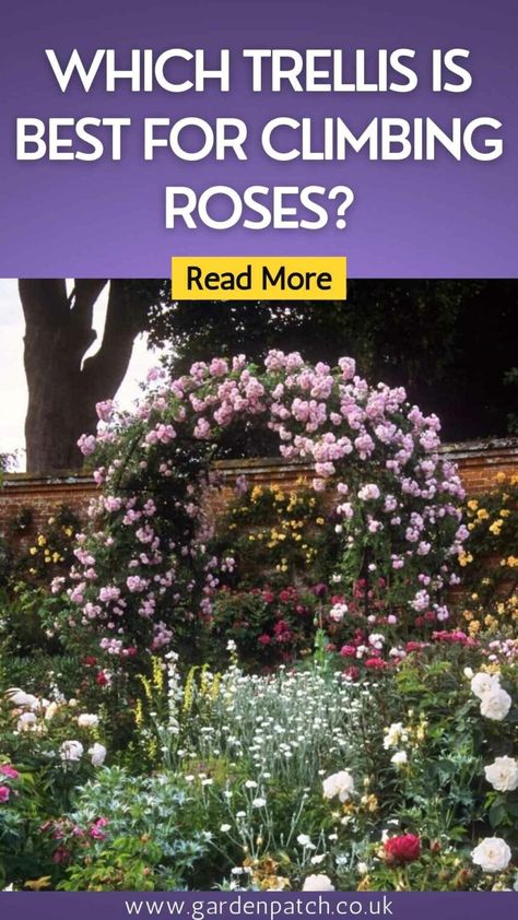 Climbing Plants Arch, Diy Rose Trellis How To Build, Diy Rose Arch Trellis, Small Rose Garden Design Backyard Ideas, Climbing Rose Support Ideas, Rose Arbor Trellis, Climbing Roses Arch, Climbing Roses Trellis On House, Climbing Rose Arch