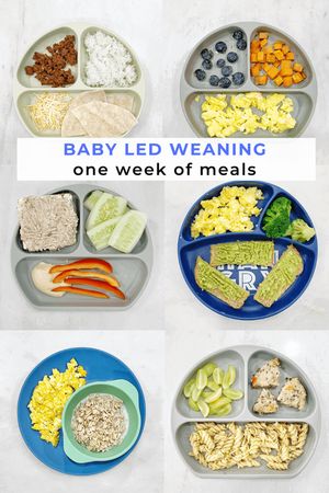 Baby Protein Ideas, Baby Led Feeding Recipes, Protein For Babies, Baby Meal Ideas 8 Months, Meal Prep For Baby Led Weaning, Easy Blw Meals 8 Month Old, Baby Led Weaning Lunch Ideas 7 Months, 11 Month Old Meal Ideas, 12 Month Old Dinner Ideas