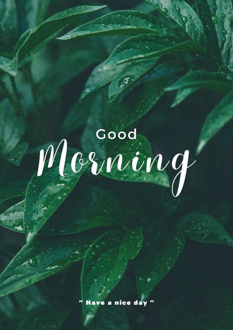 Good Morning Asthetic Wishes, Good Morning Videos, Good Morning Aesthetic, Good Morning Spiritual, Green Morning, Morning Massage, Good Morning Pics, Good Morning Massage, Create Your Own Sunshine