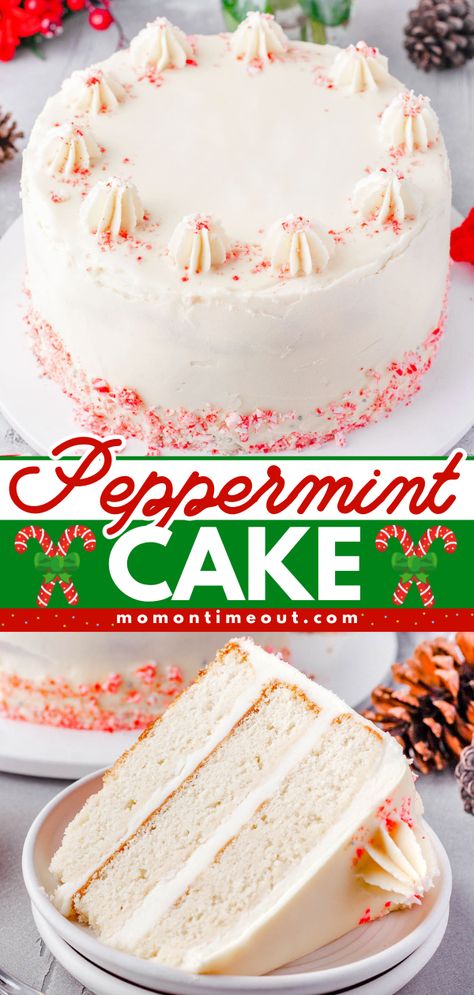 This stunning Peppermint Cake is a show stopping holiday dessert that is perfect for any occasion! Decadent white chocolate cake is layered and topped with peppermint buttercream frosting and crushed candy canes – sure to be the highlight of your holiday table! Peppermint Cake Recipe, Candy Cane Cake Recipe, Peppermint Buttercream Frosting, Christmas Confections, Peppermint Buttercream, Chocolate Peppermint Cake, Peppermint Dessert, Peppermint Cake, Xmas Recipes