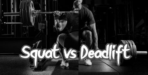 Here are the differences between doing squats and doing deadlifts. #bodybuildingtips #bodybuilding #workout #deadlift #squat Body Building Tips, Muscle Hypertrophy, Athlete Nutrition, Muscle Building Tips, Workout Supplements, Build Muscle, Bodybuilding, Workout Routine