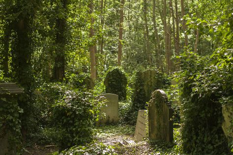 Highgate Cemetery, London Overgrown Cemetery Aesthetic, Headstone Photography, Overgrown Graveyard, Overgrown Cemetery, Drawtober 2023, Cemetery Landscape, Uncut Hair, Highgate Cemetery London, Beautiful Cemetery