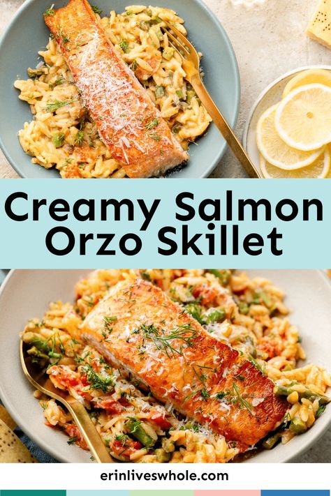 Switch up your standard salmon routine and try out this delicious Creamy Salmon Orzo Skillet! Between the veggies, parmesan cheese, and lemon, it's overflowing with savory flavors. Salmon Orzo Recipe, Salmon Orzo, Orzo Skillet, Creamy Salmon, New Recipes For Dinner, Pan Fried Salmon, Orzo Recipes, Lemon Salmon, Salmon And Asparagus