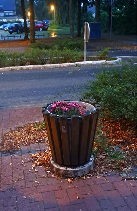 #flowers #trashcan #fall #autum #late #summer #early #morning #road #found #this #haha #aesthetic #waiting_for_the_bus 😊💐🚍 Trashcan Aesthetic, Cover Pics, Trash Can, Flowers