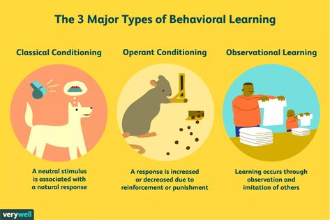 "The psychology of learning focuses on a range of topics related to how people learn and interact with their environments... Learning can be defined in many ways, but most psychologists would agree that it is a relatively permanent change in behavior that results from experience." Behaviorism. "The 3 major types of learning described by behavioral psychology are classical conditioning, operant conditioning, and observational learning." Influential People. | By Kendra Cherry | Updated: 2019 Classical Conditioning, Observational Learning, Intro To Psychology, Social Learning Theory, Ap Psych, Learning Psychology, Behavioral Psychology, Operant Conditioning, Cognitive Psychology