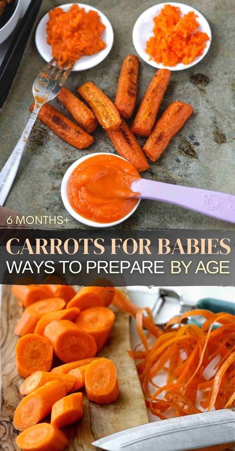 Carrots for babies Carrot Blw Recipe, Blw Carrots, Steamed Carrots In Microwave, How To Steam Carrots, Steam Carrots, Carrot Baby Food, Steamed Baby Carrots, 6 Months Baby Food, Cooked Baby Carrots