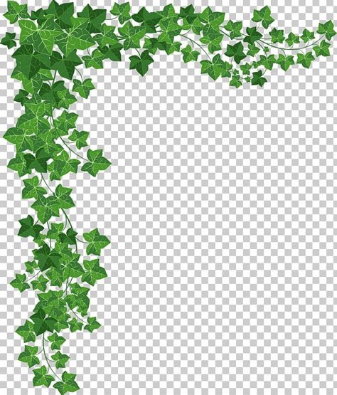 Vines Border Design, Journalizing Ideas, Vine Border Design, Picture Playlist, Vines Png, Spotify Picture, Vines Border, Ivy Draw, Vines Stickers