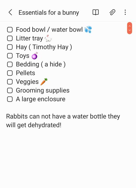 Bunny Schedule, Bunny Care Checklist, New Bunny Checklist, Bunny Essentials List, Bunny Supplies List, Things For Bunnies, Holland Lop Bunnies Care, How To Take Care Of A Bunny, Bunny Checklist