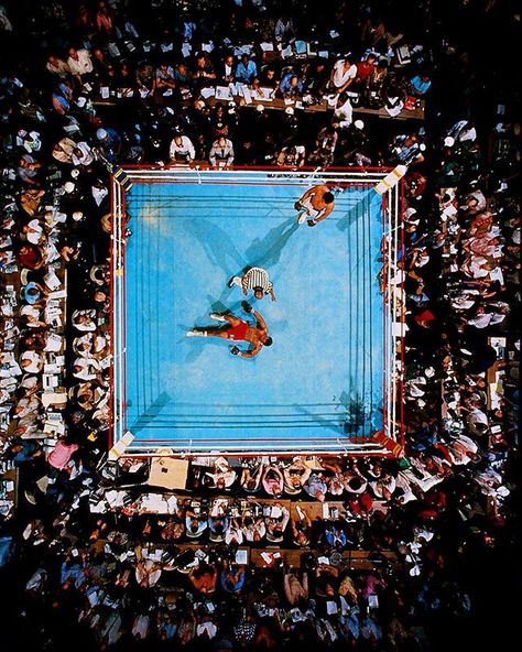 Muhammad Ali defeated George Foreman with a knockout in the eighth round at Stade du 20 Mai in Kinshasa, Zaire, forty one years ago today. Ali won the World Heavyweight title for the second time in this epic battle forever known as the Rumble in the Jungle.  Photo by Neil Leifer for Sports Illustrated #neilleifer @muhammadali @biggeorgeforeman Neil Leifer, Don King, Rumble In The Jungle, We The Kings, Champions Of The World, George Foreman, Sports Photos, Muhammad Ali, Iconic Photos