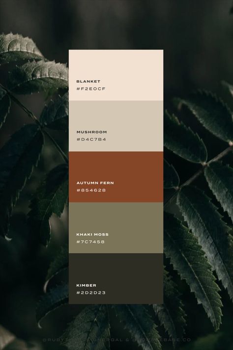 Natural and Warm Color Palette Green Terracotta Black Color Palettes, Down To Earth Color Palette, Color Pallets Earth Tones, Neutral Masculine Color Palette, Nature Color Pallets, Nature Wedding Colors Palette, Earthy Moody Color Palette, Natural Brand Color Palette, Colour Palette Brown Earth Tones