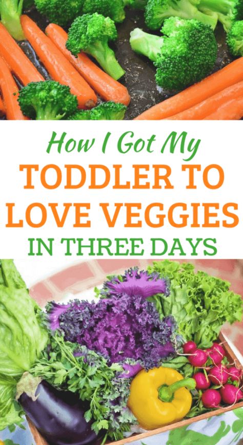 Toddler Wont Eat, Toddler Vegetables, Veggie Appetizers, Toddler Picky Eater, Picky Toddler Meals, Mommy Things, Eat Vegetables, Kids Vegetables, Veggie Snacks