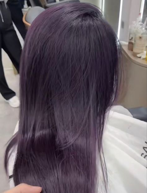 Lavender Purple Hair Color, Purple Hair Dye Aesthetic, Purple To Brown Hair, Dark Purple Hair Korean, Violet Soft Black Hair, Dull Purple Hair, Dark Purple Hair Asian, No Bleach Purple Hair, Dark Color Hair Dye