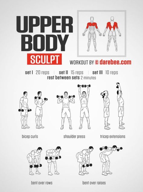 Chest And Arm Workout, Body Builders Men, Arm Workout Men, Arm Workout For Beginners, Pilates Workout Plan, Latihan Dada, Dumbell Workout, Workout Routine For Men, Pilates Training