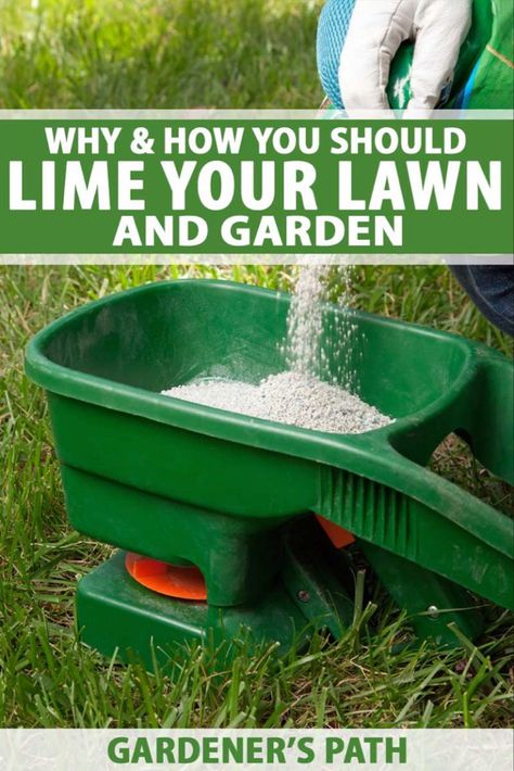 Aerate Lawn, Unique Garden Decor, Yard Maintenance, Diy Lawn, Lawn Care Tips, Lawn Fertilizer, Lawn Maintenance, Lawn And Landscape, Green Lawn