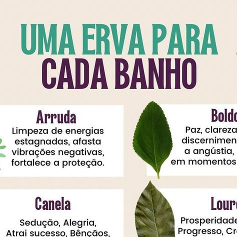 Magia Das Ervas, Green Witch, Healing Herbs, I Cool, Glow Up?, Feng Shui, Ritual, Witch, Solar