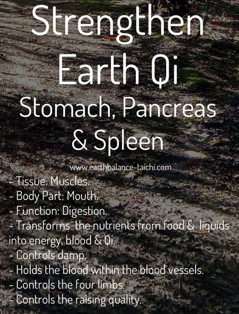 Qi Deficiency, Japanese Medicine, Tcm Traditional Chinese Medicine, Polarity Therapy, Being Grounded, Healthy Healing, Qigong Exercises, Energy Yoga, Healing Foods