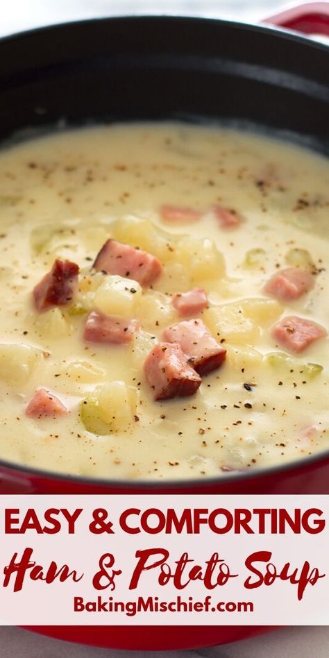 Easy Potato Ham Soup, Ham Potato And Cabbage Soup, Soup Ham And Potato, Homemade Ham And Potato Soup, Quick Ham Recipes, Ham And Potato Soup With Ham Bone, Ham Bean And Potato Soup, Soups Made With Ham, Easy Low Calorie Soup