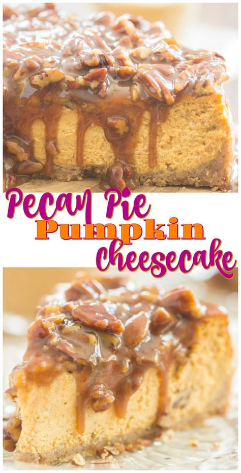 Creamiest Cheesecake, Pumpkin Pie Cheesecake Recipe, Pumpkin Pecan Cheesecake, Pecan Pie Cheesecake Recipe, Pecan Pie Cheesecake, Pecan Cheesecake, Pumpkin Pie Cheesecake, Pumpkin Pecan Pie, Pumpkin Cheesecake Recipes