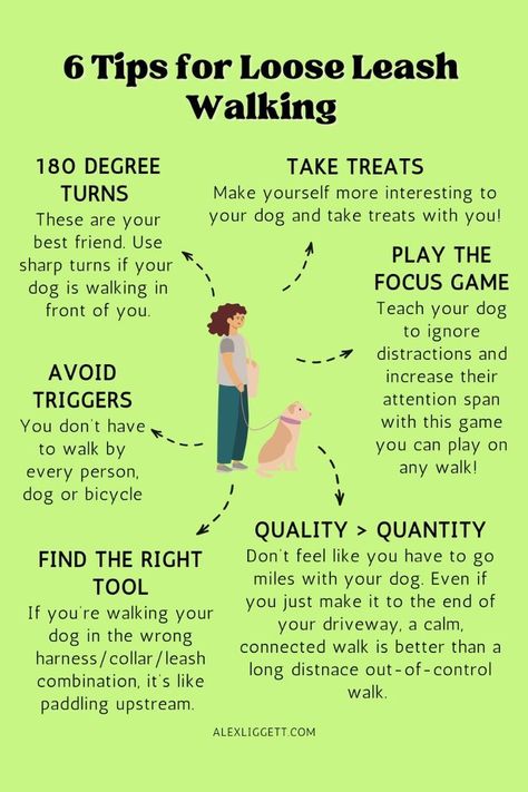 dog training: 6 tips for loose leash walking Pet Remedies, Lemon Cupcake, Loose Leash Walking, Dog Leash Training, Reactive Dog, Dog Behavior Problems, Shelter Dog, Emotional Support Dog, Notes Ideas