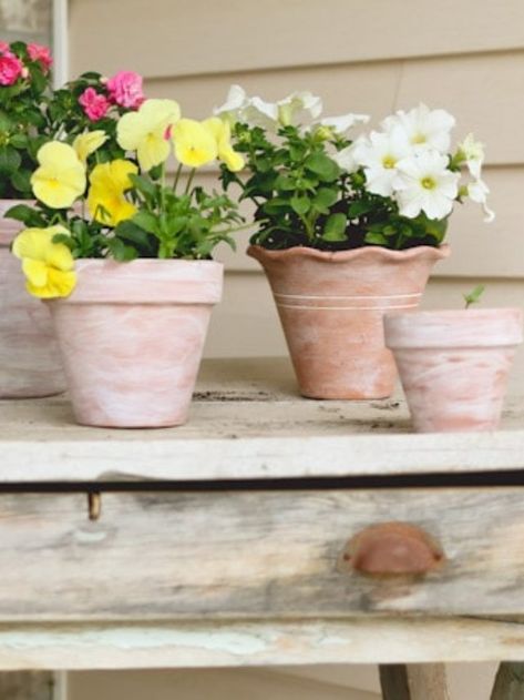 Summer Porch Makeover: DIY Whitewash Terracotta Pots Story - Tidbits How To Whitewash, Terra Cotta Pots, Summer Front Porches, Terra Cotta Pot Crafts, Porch Makeover, Summer Porch, Painted Pots, Terracotta Pots, Terra Cotta