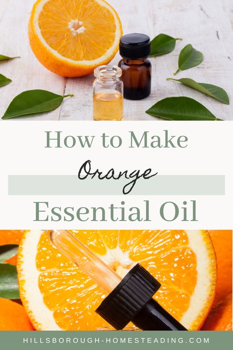 Orange Essential Oil Diy, Infused Oil Recipes, Home Apothecary, How To Make Orange, Homemade Essential Oils, Diy Essential Oil Recipes, Making Essential Oils, Be Powerful, Essential Oils Guide