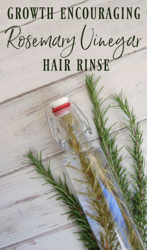 Rosemary Vinegar, Vinegar Hair Rinse Recipe, Rosemary For Hair Growth, Hair Rinse Recipe, Rosemary For Hair, Vinegar Hair Rinse, Vinegar For Hair, Rosemary Hair, Vinegar Rinse