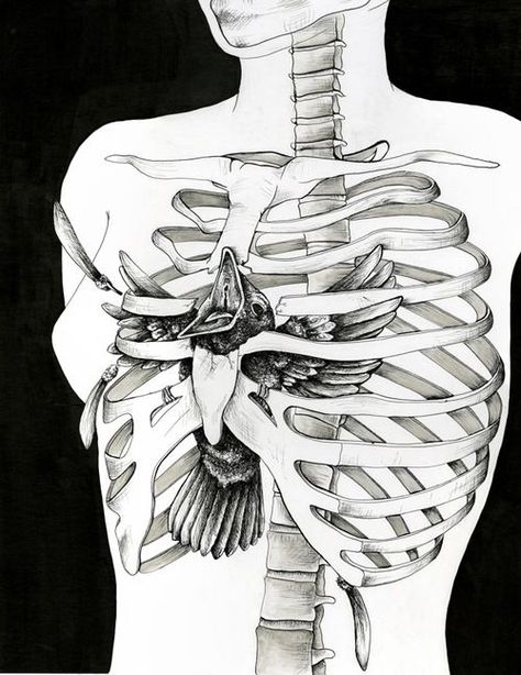 Bukowski, Skeleton Illustration, Desenho Tattoo, Dark Art Drawings, Wow Art, Anatomy Art, Surreal Art, Dark Art, Blue Bird