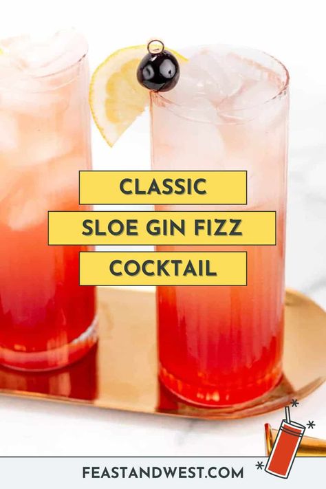 Slow Gin Fizz Recipes, Sloe Gin Fizz Recipe, Slow Gin Fizz, Sloe Gin Cocktails, Sloe Gin Fizz, Gin Fizz Recipe, Sloe Berries, Gin Fizz Cocktail, Infused Gin