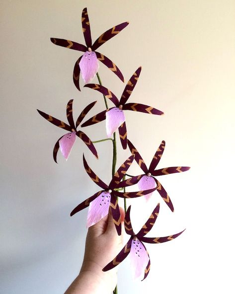 DIY Paper Spider Orchids | Design*Sponge | Bloglovin’ Paper Spider, Carte Halloween, Fleurs Diy, Paper Plants, Crepe Paper Flowers, Spider Plants, Design Sponge, Crepe Paper, Flower Tutorial