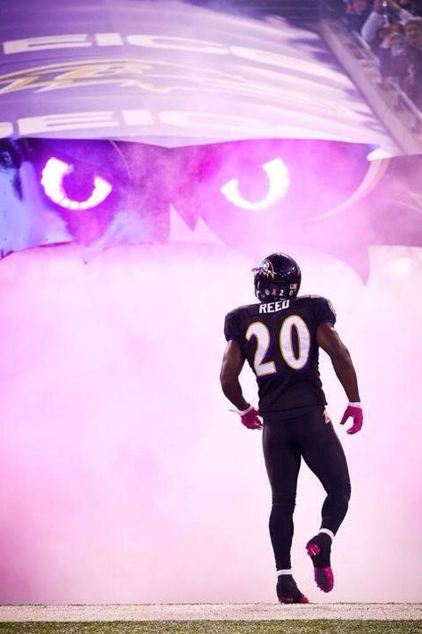 Ed Reed Ed Reed, Win Or Lose, Baltimore Ravens, Ravens, Flocking, Baltimore, Nfl, Football, Quick Saves