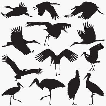 bird,chicken,crane,dove,eagle,falcon,feeding,flamingo,fly,free use,goose,hawk,hen,nest,ostrich,owl,parrot,pelican,penguin,pigeon,raven,seagull,silhouette,sparrow,stork,swallow,swan,turkey,wing,bird vector,birds vector,eagle vector,wing vector,owl vector,chicken vector,silhouette vector,flamingo vector,fly vector,dove vector,peacock vector,penguin vector,turkey vector,bird silhouette,black bird Flying Bird Silhouette, Duck Silhouette, Stork Bird, Eagle Silhouette, Pelican Bird, Vector Portrait Illustration, Owl Vector, Illustration Story, Girl Background