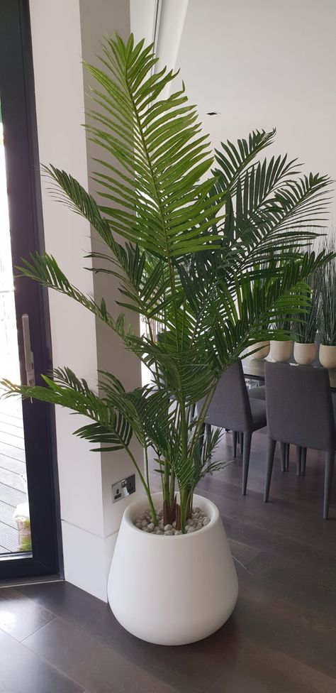 Palm Tree Home Decor, Palm Tree In Living Room, Living Room Palm Tree Decor, Fake Indoor Plants Decor, Palm Tree Living Room, Tropical Plants Indoor Decor, Palm Tree Living Room Decor, Palm Tree Room Decor, Real Plants In Bedroom