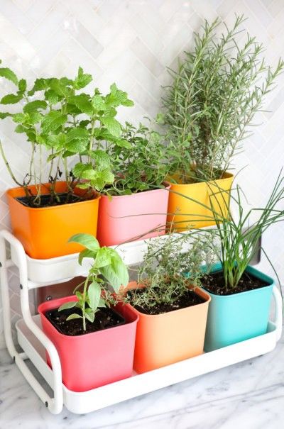 Ikea Plants, Diy Herb Garden, Indoor Herb, Herb Garden Design, Vertical Herb Garden, Wood Garden, Decor Ikea, Indoor Herb Garden, Herbs Indoors