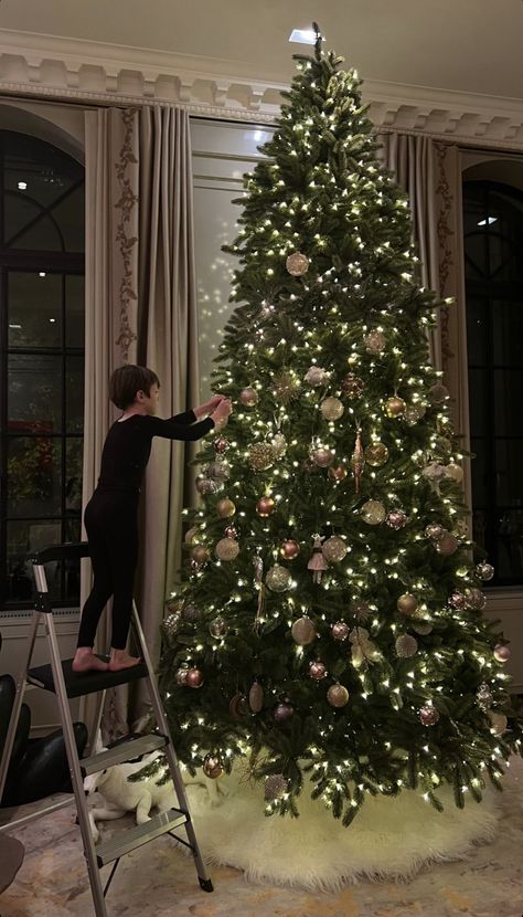 Christmas Tree Aesthetic, Christmas Tree Inspo, Big Christmas Tree, Large Christmas Tree, Hosting Holidays, Christmas Interiors, Cosy Winter, Christmas Time Is Here, Warm Christmas