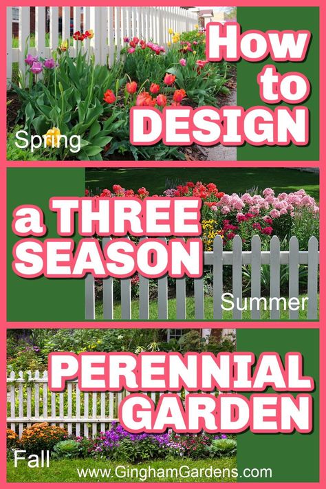 Discover the art, science, and beauty of designing a 3-season perennial garden. In this comprehensive guide, we unravel the secrets for creating a harmonious balance of vibrant spring blooms, colorful summer blossoms, and captivating fall foliage. Stop by Gingham Gardens and get your printable, easy-to-follow guide and workbook for planning your flower garden with perennials that bloom spring, summer and fall. Flower Garden That Blooms All Year, Three Season Flower Bed, Spring To Fall Perennial Garden, 3 Season Perennial Garden Plans, Planning A Flower Garden Layout, 3 Season Garden Plan, Perennials That Bloom Spring To Fall, Dyi Garden, Fall Garden Ideas