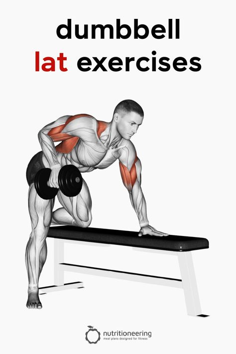 Barbell Lat Workout, Dumbbell Lat Exercises, Exercises For Lats At Home, Lats Exercises With Dumbbells, Lats Workout Dumbbell, Dumbell Lat Workout, Lat Strengthening Exercises, Lower Lat Exercises, Dumbell Back Exercises